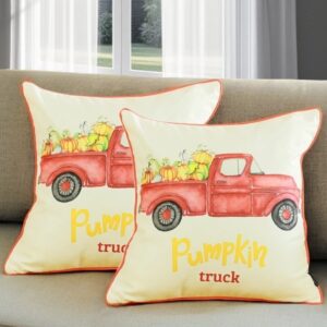 Set of Two Natural and Orange Pumpkin Throw Pillow Cover