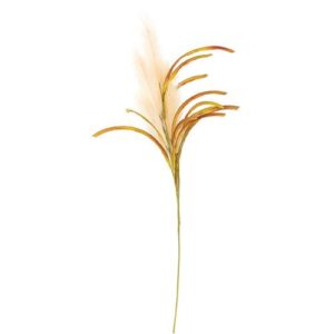Pampas Spray, Natural, 31"