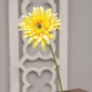 Blooming Daisy Stem, Dark Yellow
