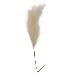 Pampas Grass Spray, 45", Cream