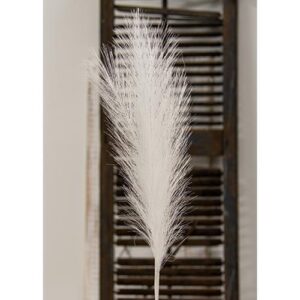 Pampas Grass Pick, 28", White