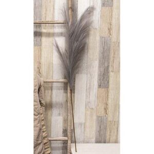 Weeping Pampas Grass Branch, Gray