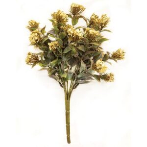 Late Bloomer Bush, 11", Cream