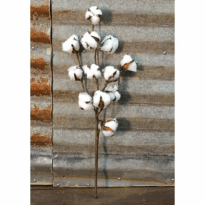 Country Cotton Ball Spray, 20"