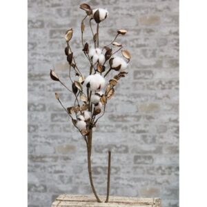 Cotton Branch w/Shells, 30"