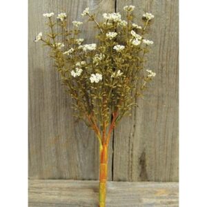 Cream Fall Astilbe Bush, 10.5"