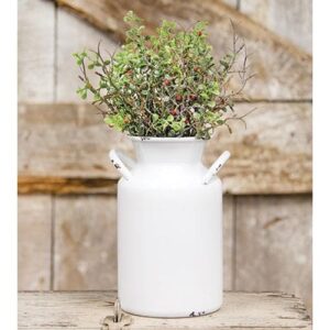 Freeze Fire Bush, 11"