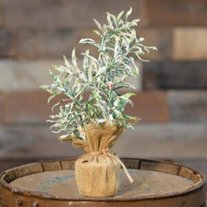 Frosty Herb Tree, 10"