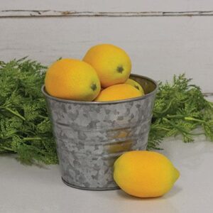 6/Set, Fresh Lemon Bowl Fillers