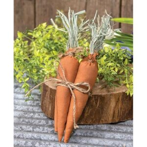 4/Set, Primitive Fabric Carrots
