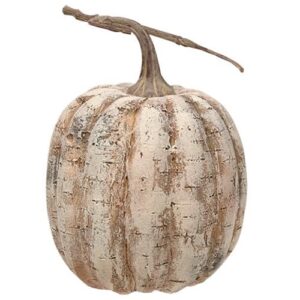 White Birch Pumpkin, 8"
