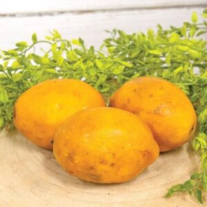 3/Set, Beeswax Dipped Papier Mache Lemons