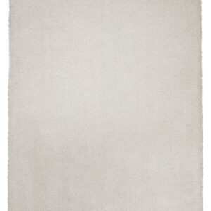 5' X 7' Ivory Shag Hand Woven Area Rug