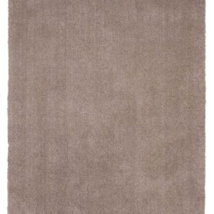 5' X 7' Beige Indoor Shag Rug