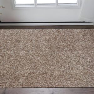 2' X 4' Beige Shag Hand Woven Area Rug