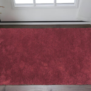 3' X 5' Red Shag Hand Woven Area Rug