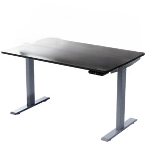 Premier 45" Gray Dual Motor Electric Office Adjustable Standing Desk