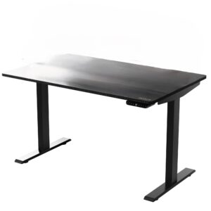 30" Adjustable Black Stainless Steel Standing Desk