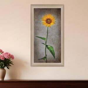 Sunflower I Brown Framed Print Wall Art