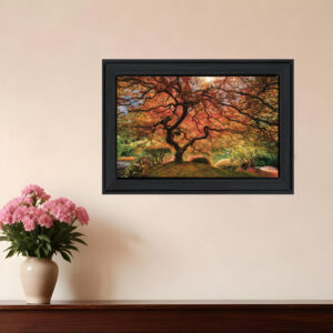 First Colors of Fall I  Black Framed Print Wall Art