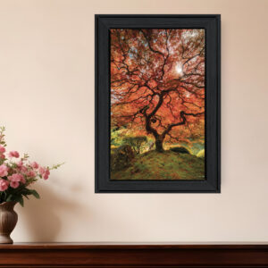 First Colors of Fall II  Black Framed Print Wall Art
