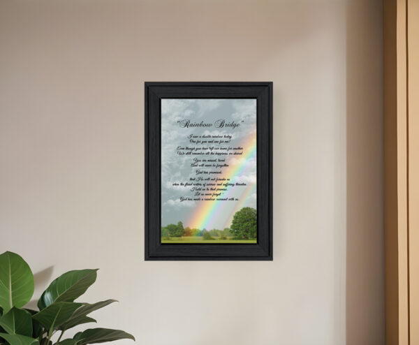 Rainbow Bridge  Black Framed Print Wall Art