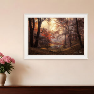 The Pool  White Framed Print Wall Art