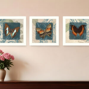 Set Of Three Butterflies White Framed Print Wall Art