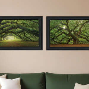Set Of Two Tree Arbors by Moises Levy Black Frame Black Framed Print Wall Art
