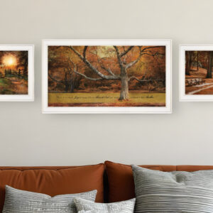 Set Of Three Tranquil Spaces  White Framed Print Wall Art