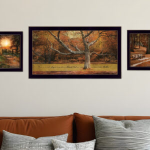 Set Of Three Tranquil Spaces  Black Framed Print Wall Art