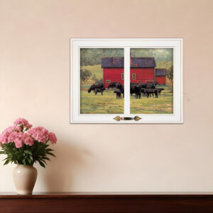 By the Red Barn Herd of Angus  White Framed Print Wall Art