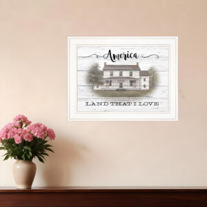 America  White Framed Print Wall Art