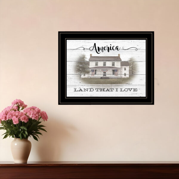 America  Black Framed Print Wall Art