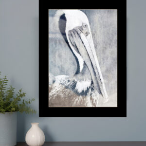 Pelican  Black Framed Print Kitchen Wall Art