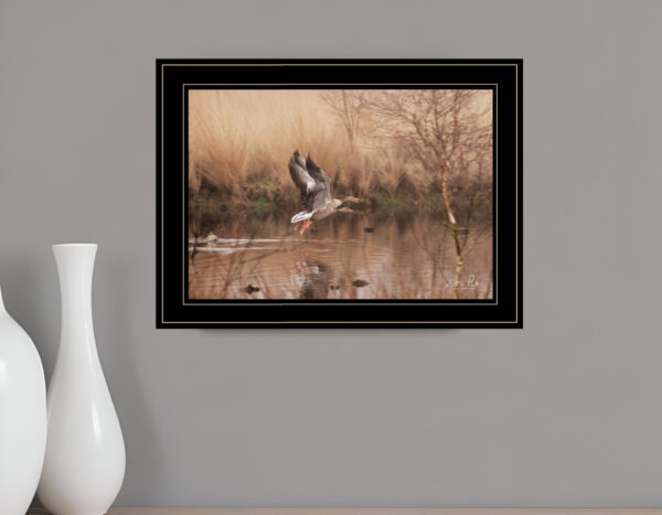 Fly Away  Black Framed Print Wall Art