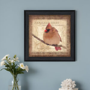 Female Cardinal  Black Framed Print Wall Art