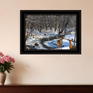 Great Outdoors Nature  Black Framed Print Wall Art