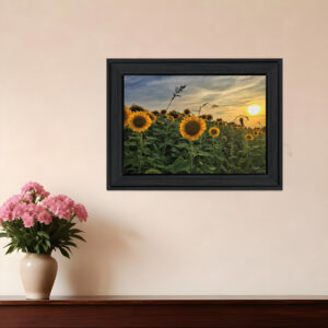 Midwest Livin I  Black Framed Print Wall Art