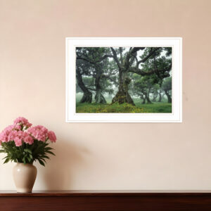 Enchanted Forest I  White Framed Print Wall Art