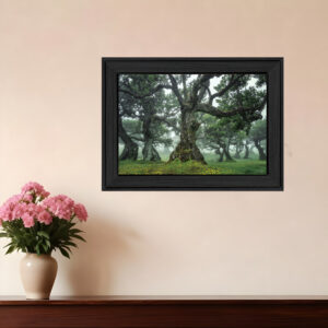Enchanted Forest I  Black Framed Print Wall Art