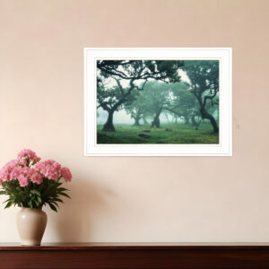 Enchanted Forest II  White Framed Print Wall Art