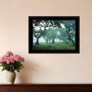 Enchanted Forest II  Black Framed Print Wall Art