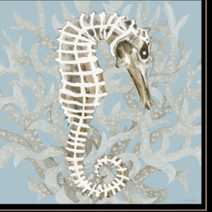 Set Of Two Coral Seahorse  Black Framed Print Wall Art