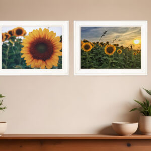 Set Of Two Midwest Living  White Framed Print Wall Art
