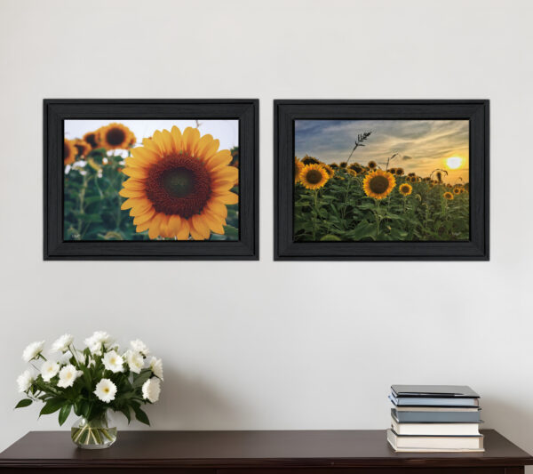 Set Of Two Midwest Living  Black Framed Print Wall Art
