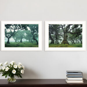 Set Of Two Enchanted Forest  White Framed Print Wall Art
