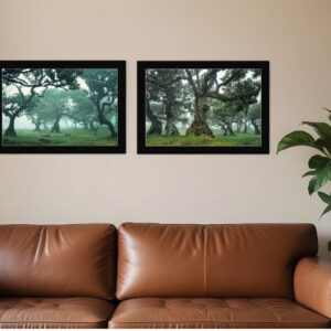 Set Of Two Enchanted Forest  Black Framed Print Wall Art