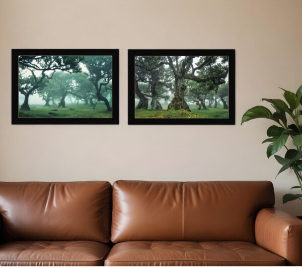 Set Of Two Enchanted Forest  Black Framed Print Wall Art
