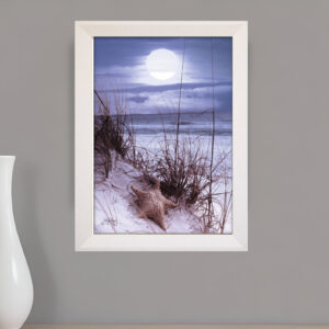 The Seashore White Framed Print Wall Art
